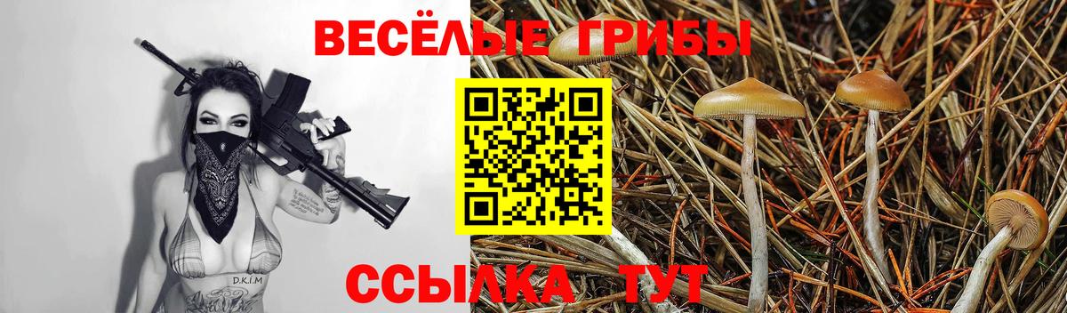 Галлюциногенные грибы Psilocybine cubensis  Псилоцибиновые грибы мухоморы  Избербаш  Вход с VPN 