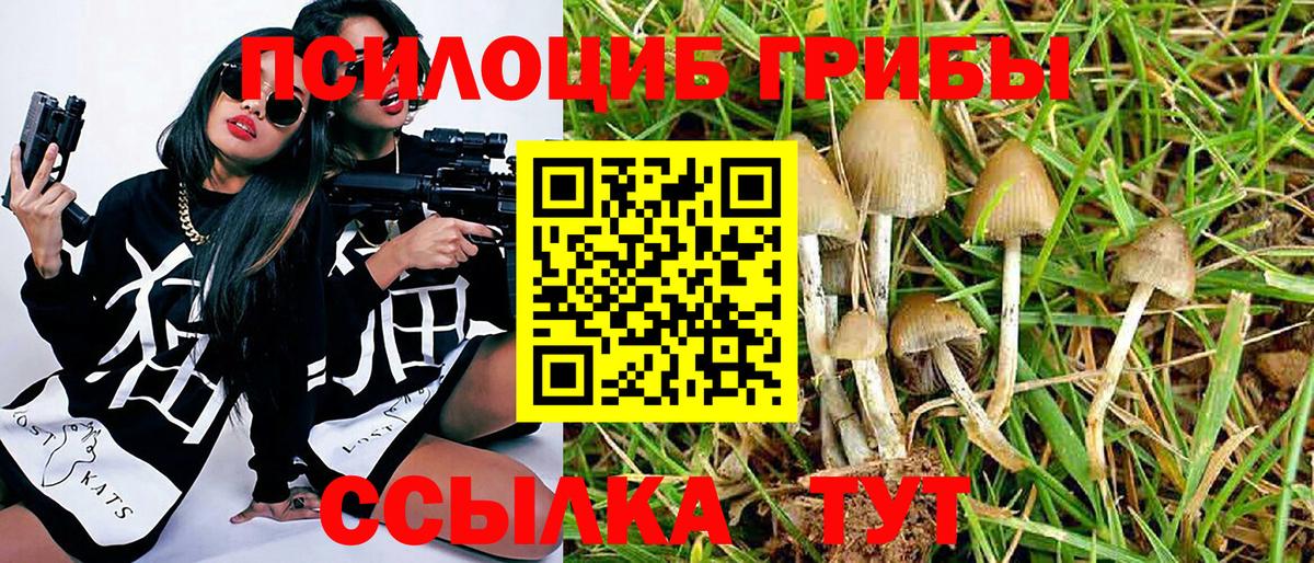 Псилоцибиновые грибы MAGIC MUSHROOMS Избербаш